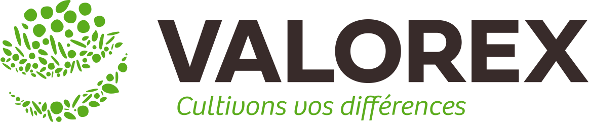 Accueil 3 Logo