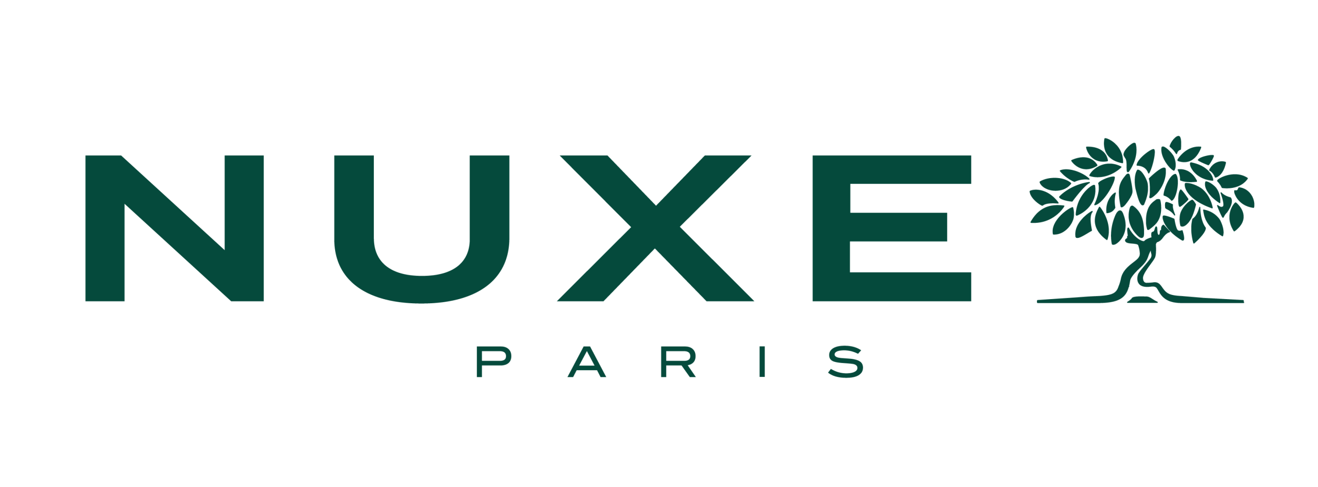 Accueil 1 NUXE LOGO 2024 scaled